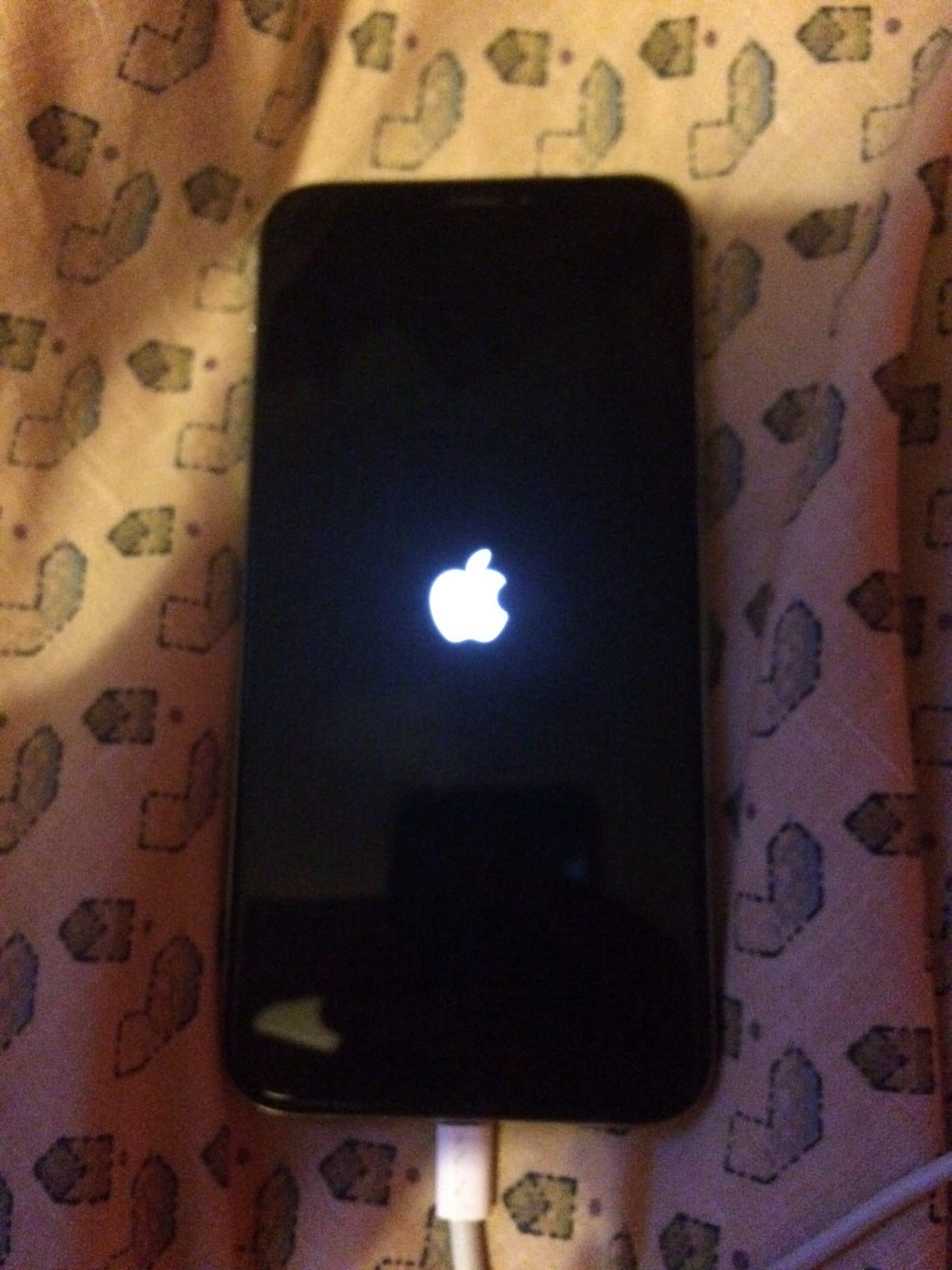 iPhone X Boot Loop wegen Wackelkontakt Handyparadies24 Smartphone