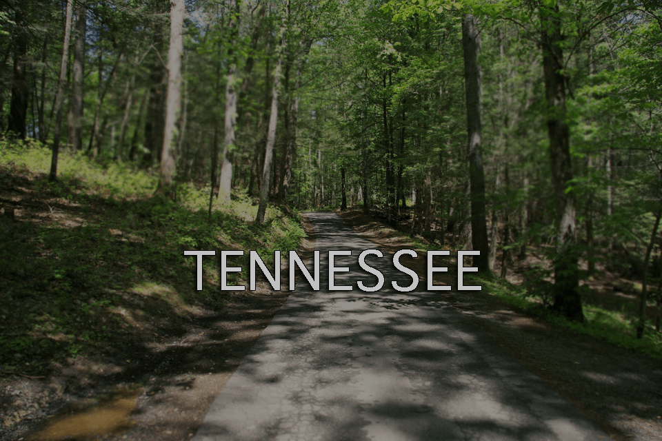 Residential Sales and Rentals Pulaski TN Haney Realty