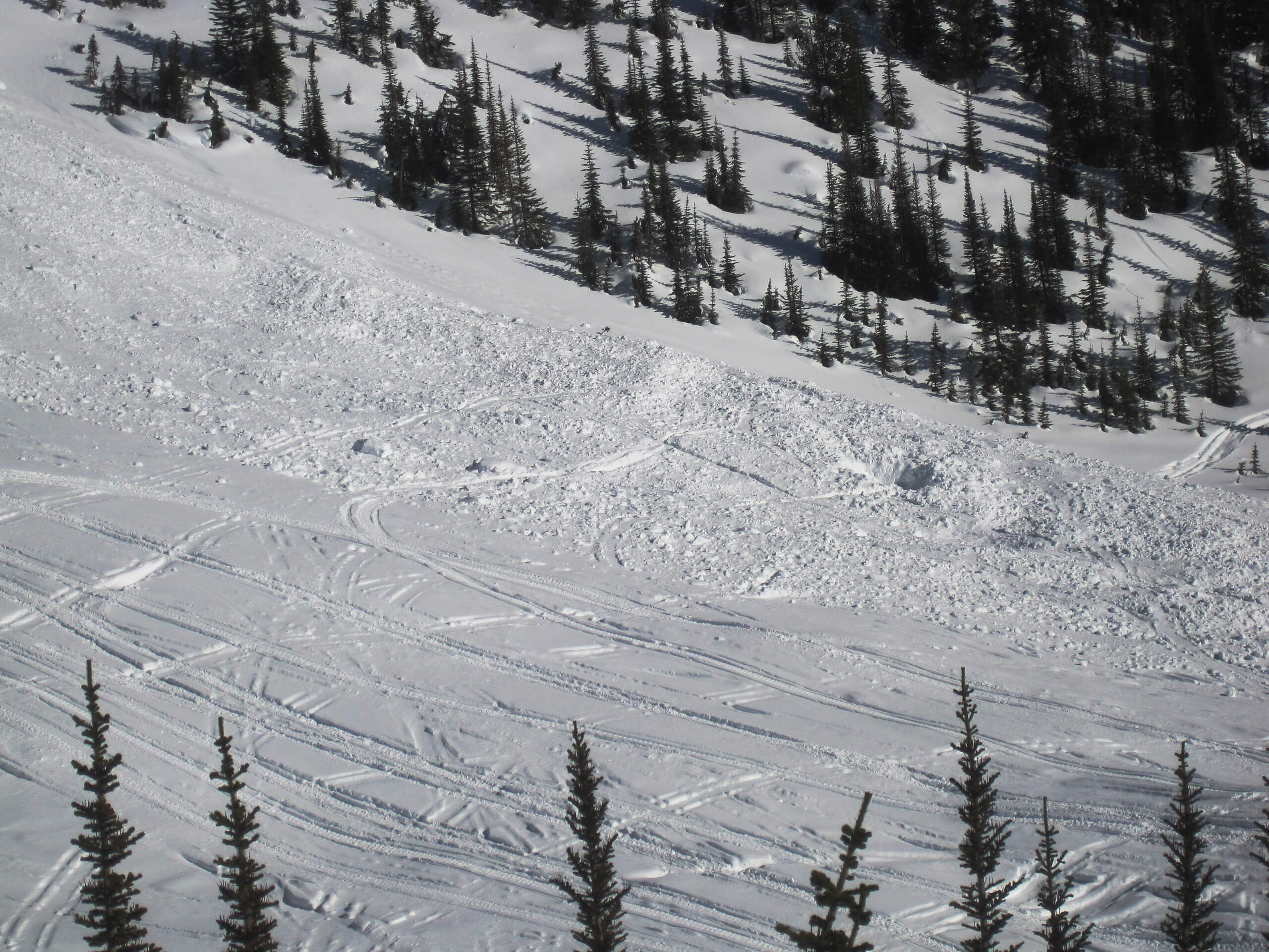 Snowmobile Avalanche Course AST 1 Revelstoke