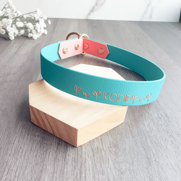 biothane slip collar