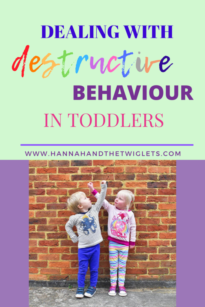 Destructive Behaviour In Toddlers Hannah and the Twiglets