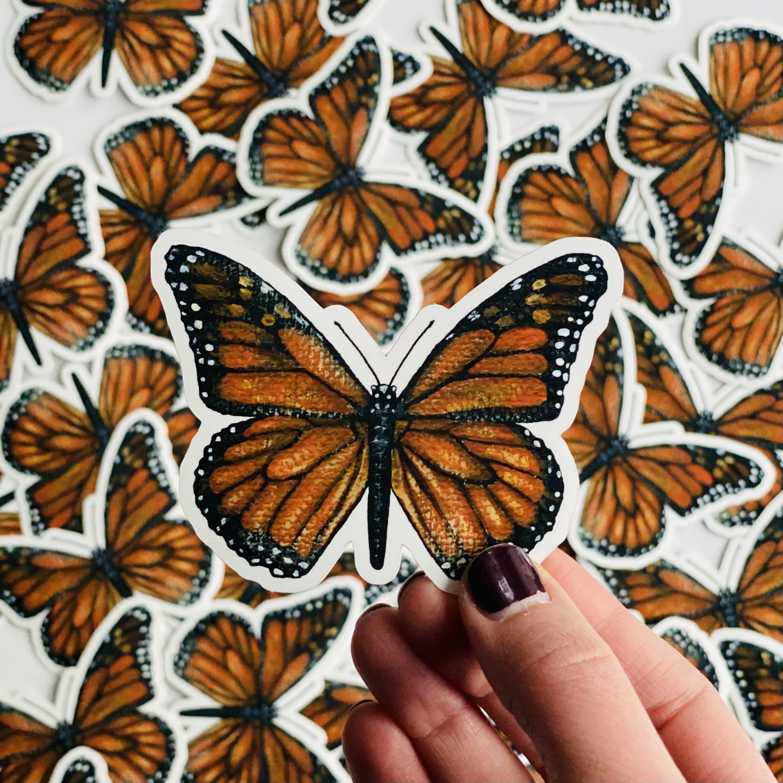 Monarch Butterfly Sticker Hannah Pickering