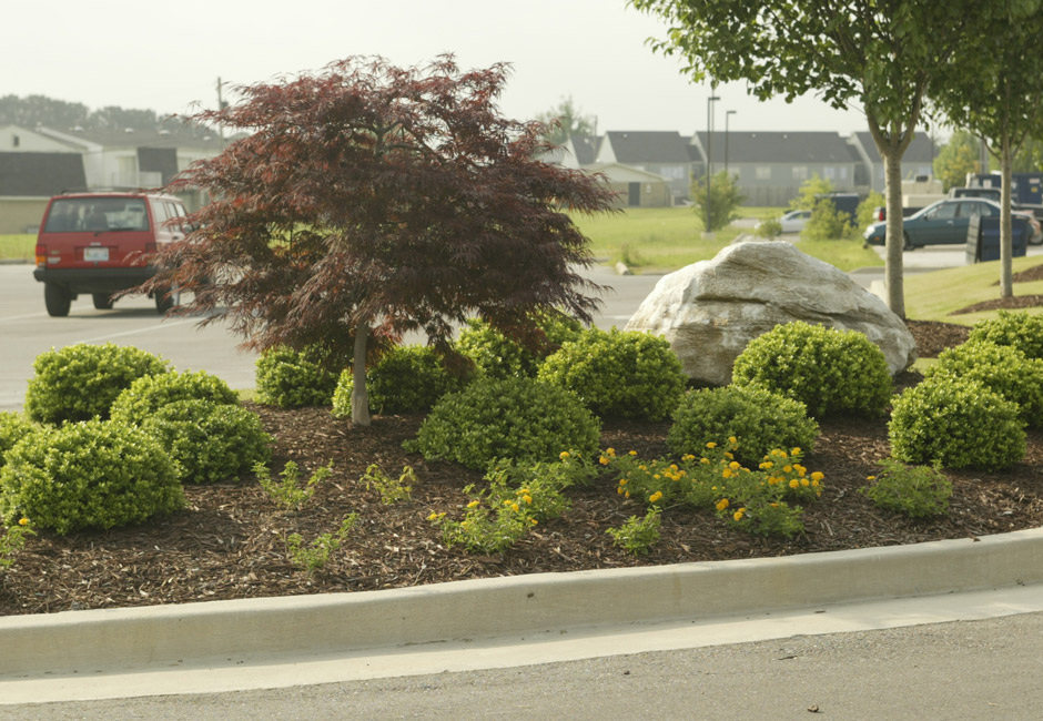 Hannah's Landscaping » Longview Plaza