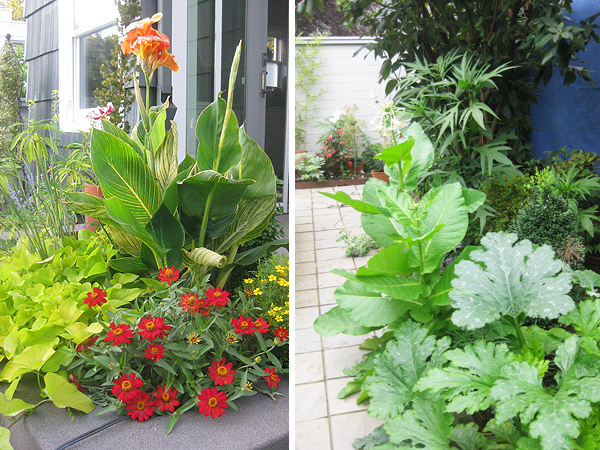 Linda Hannan Personal Garden Design