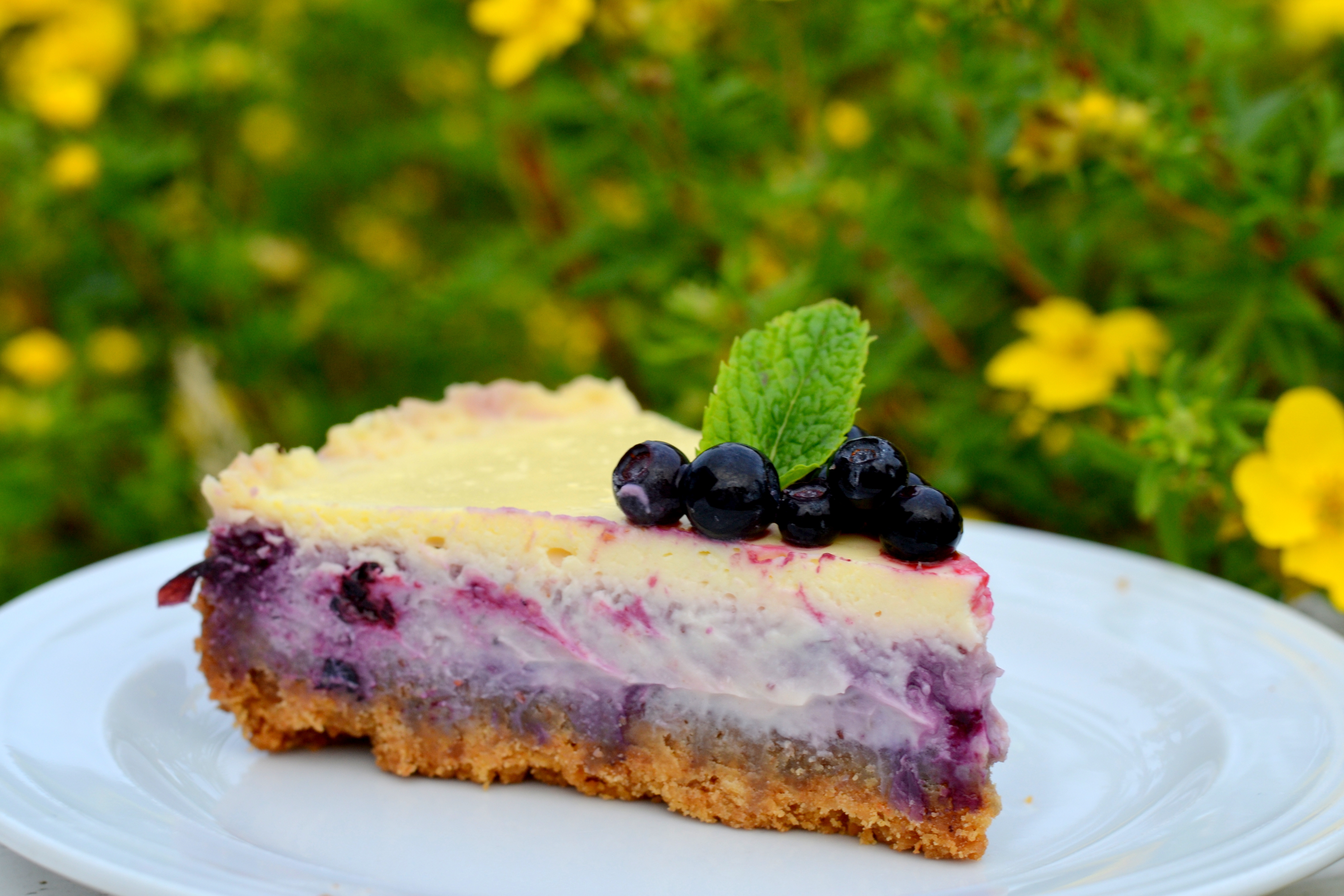 Blåbärscheesecake