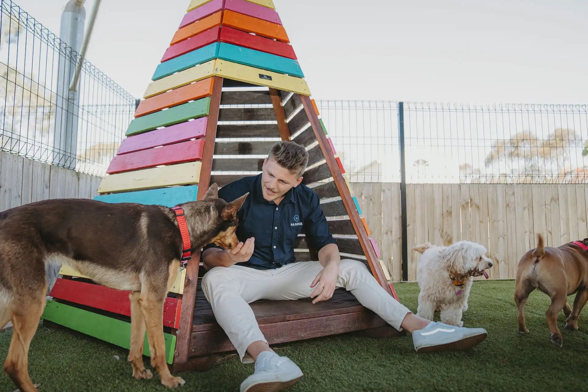 Professional Dog Boarding in Perth Hanrob Pet Hotels