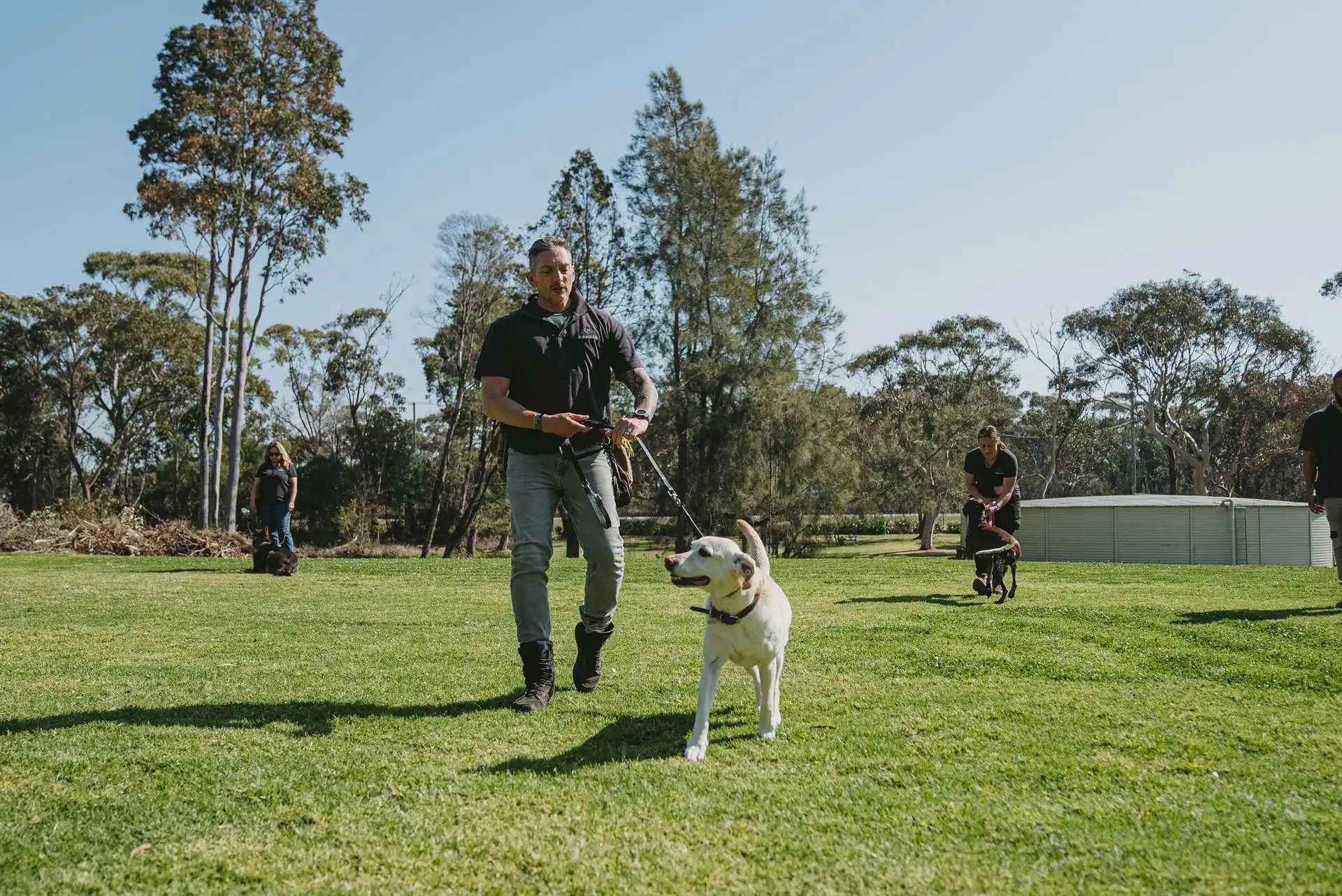 Dog Training Hanrob Pet Hotels