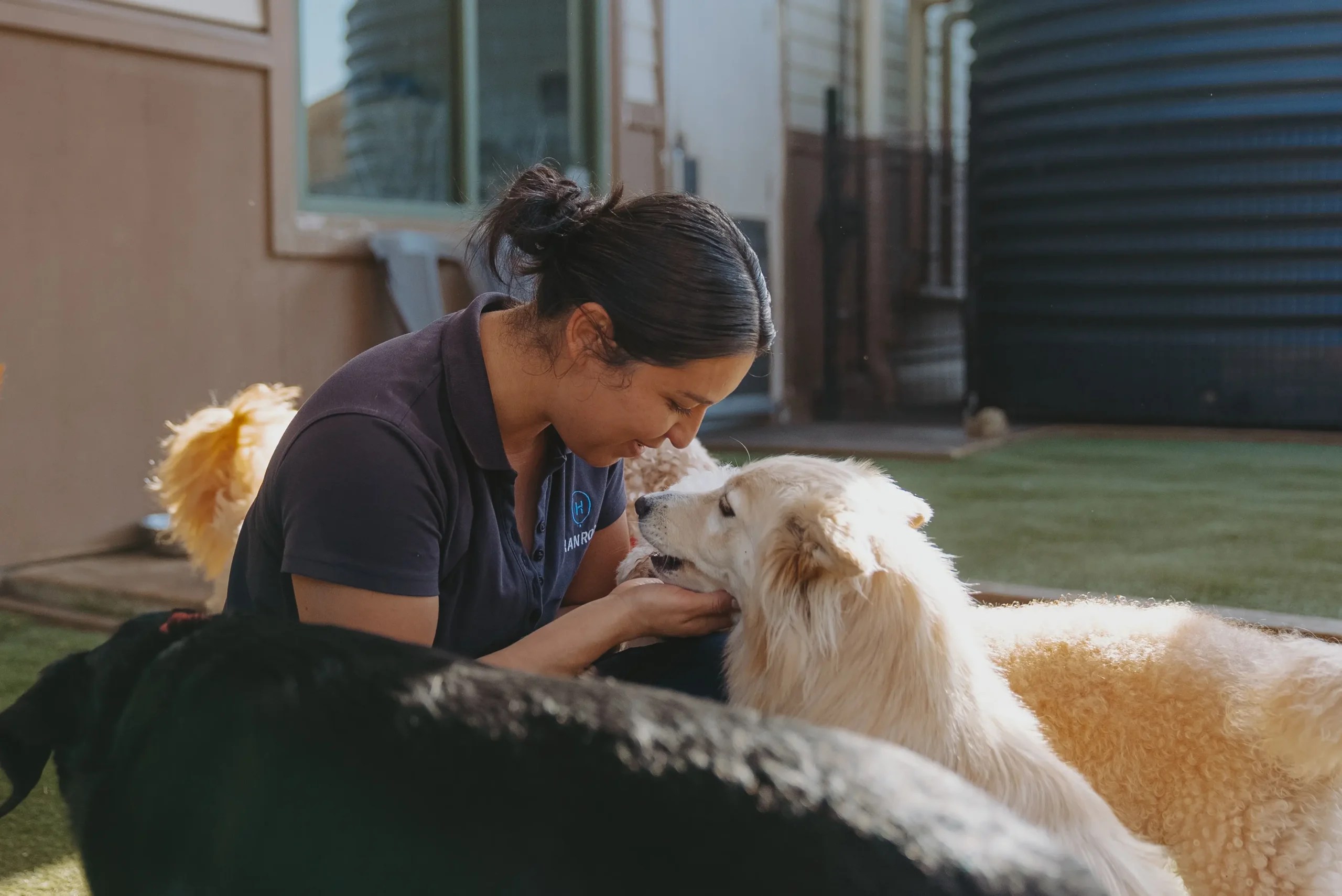 Trusted Pet Care at Hanrob Canberra Hanrob Pet Hotels