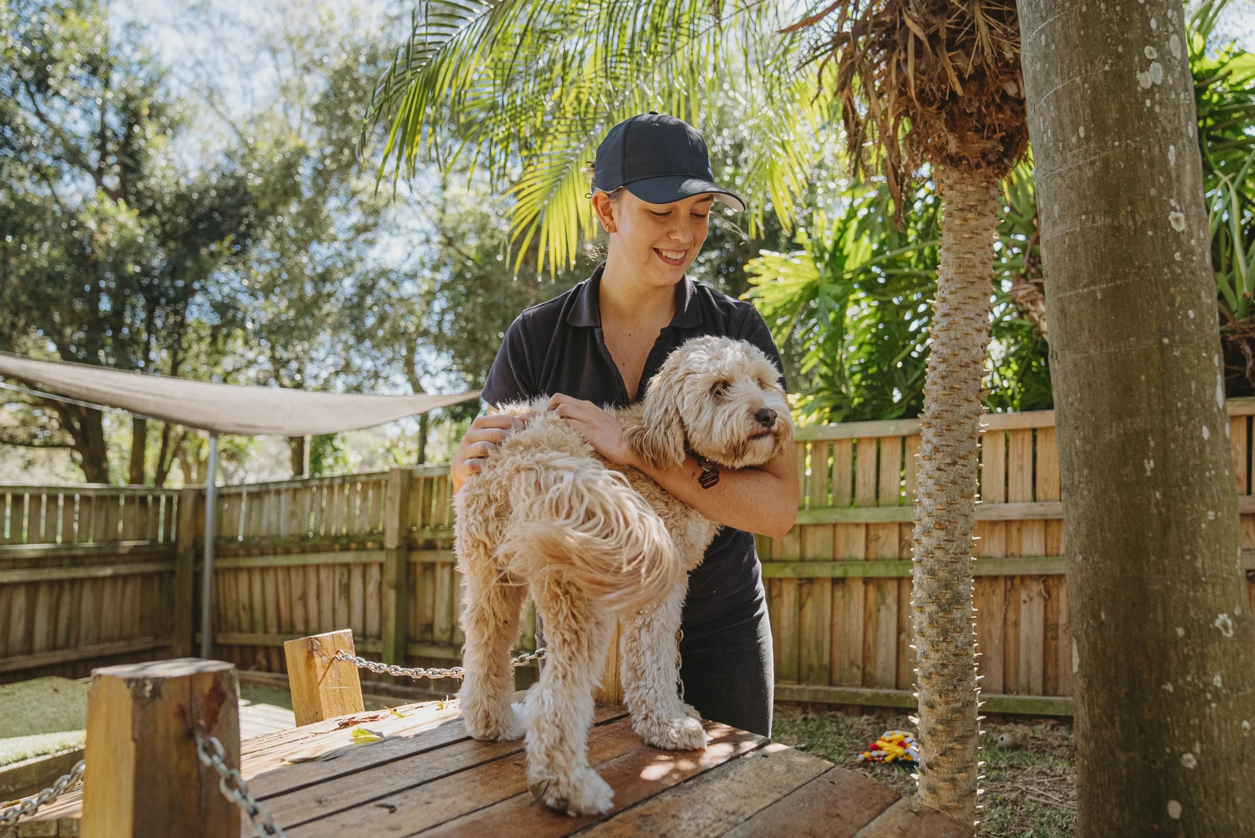 Quality Pet Care at Hanrob Duffys Forest Hanrob Pet Hotels