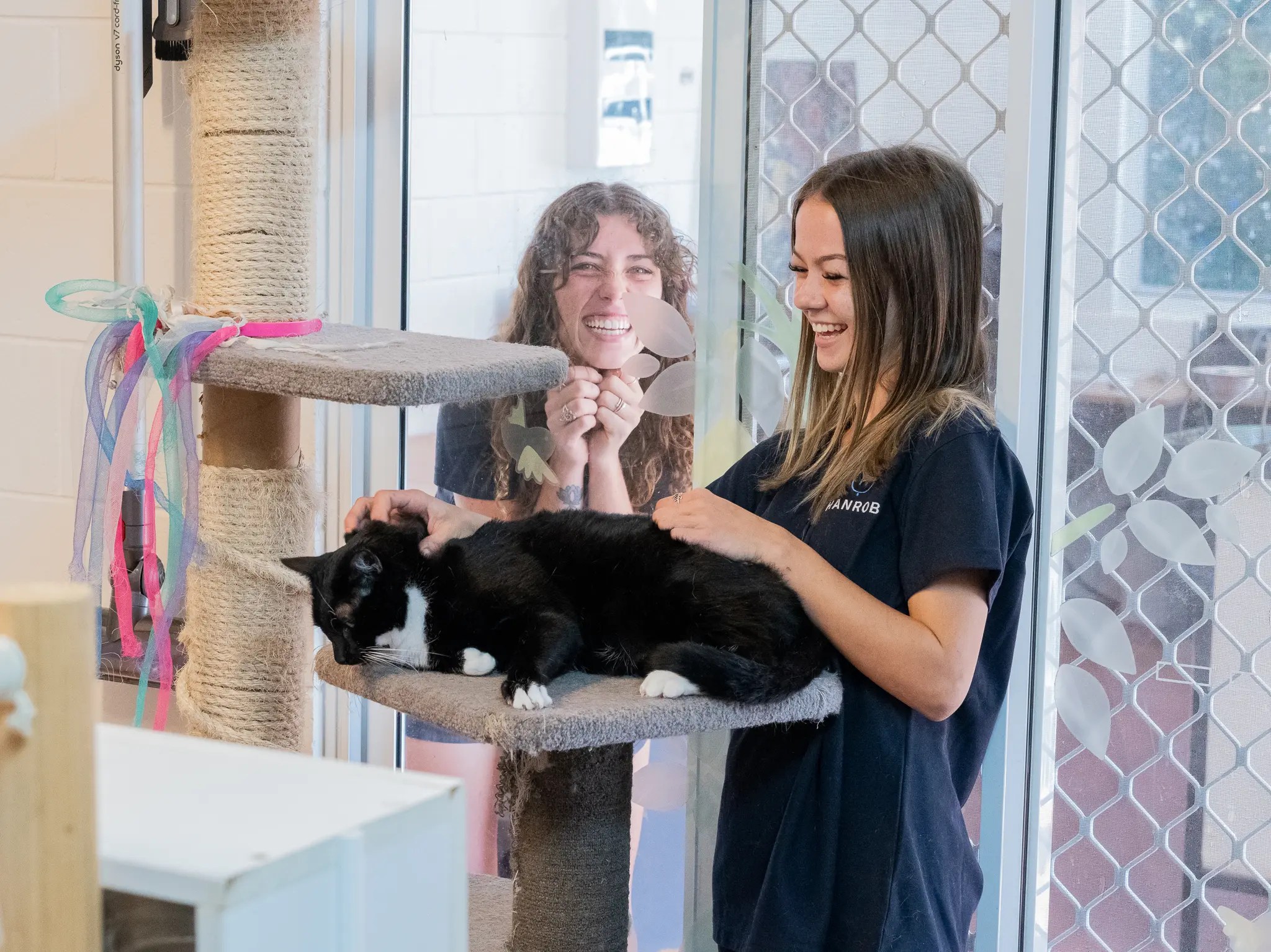 Premium Pet Boarding Service Hanrob Pet Hotels