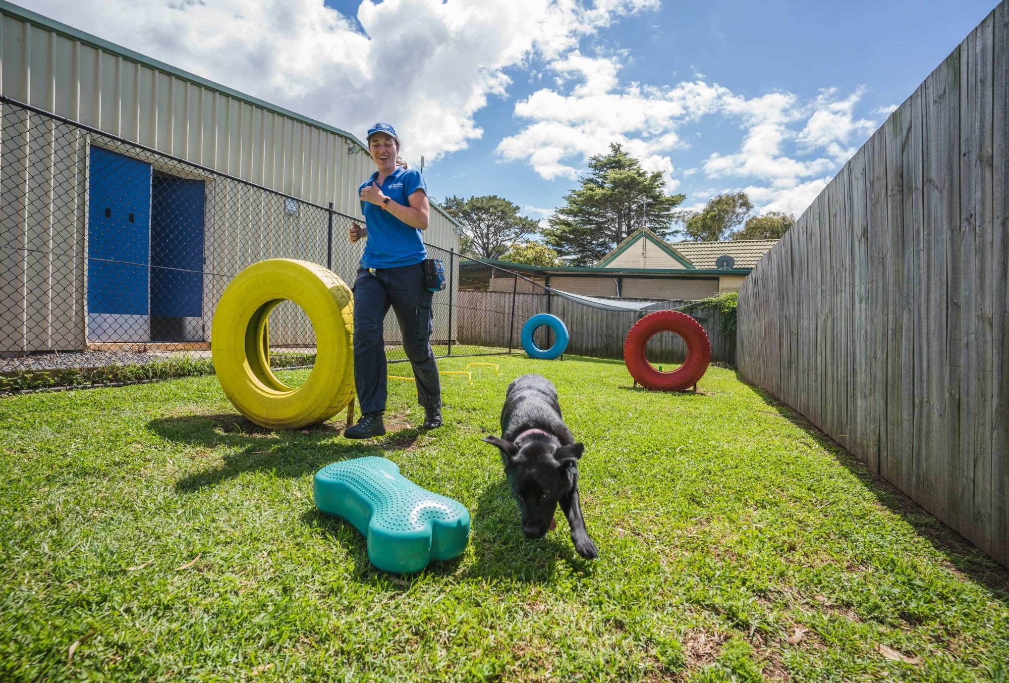 Petbarn Pet Hotels Premium PetCare for Petbarn Members