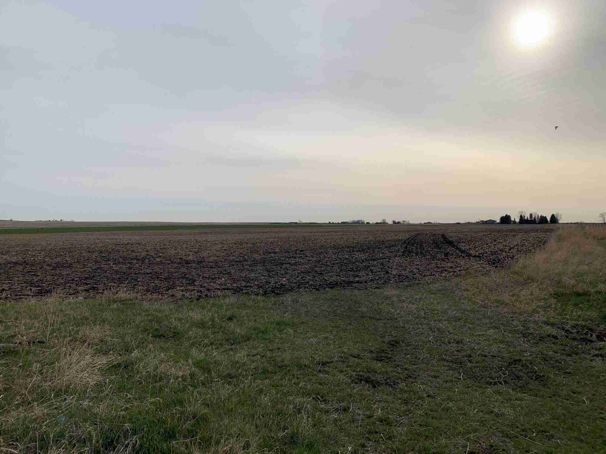 155 (+/) Acres Interesting Quarter Section West of High River Hansen Land Brokers