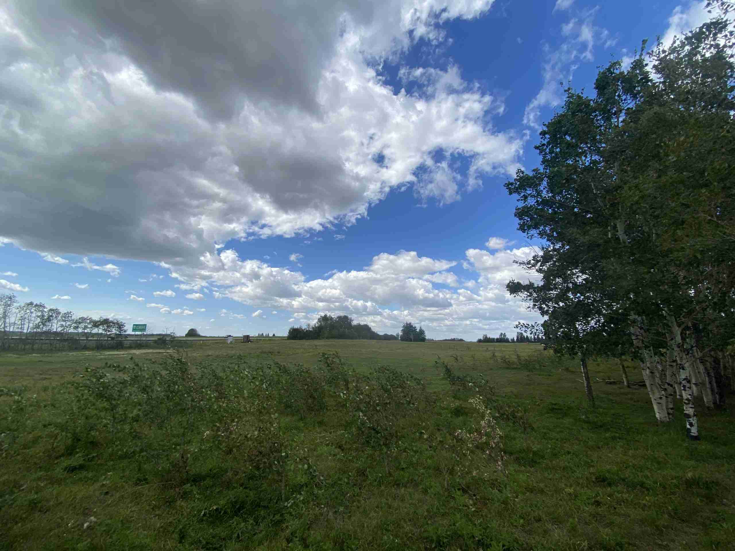 25 (+/) Acres in Camrose County Hansen Land Brokers