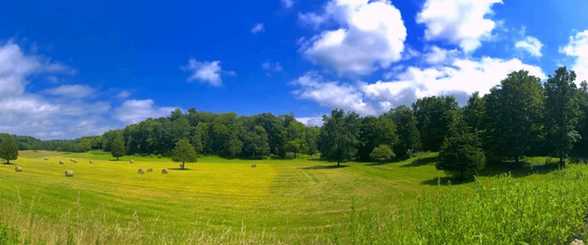 Crown Lease Land For Sale Alberta Hansen Land Brokers