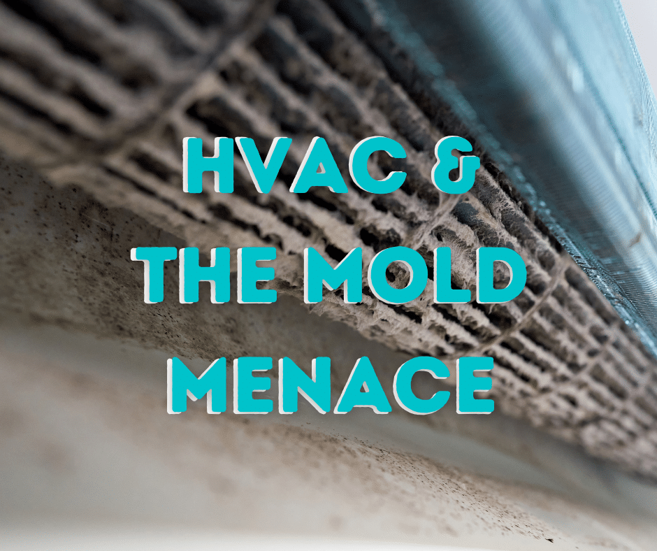 Mold in HVAC System Common Causes and Prevention Hansen