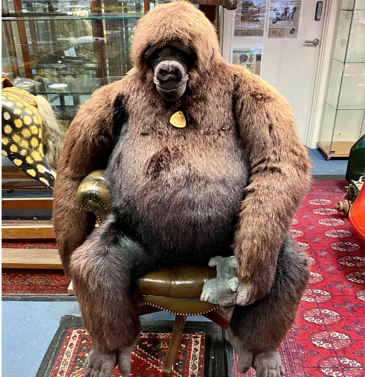 Have you got enough space in your life for Dakin, a gorilla to melt