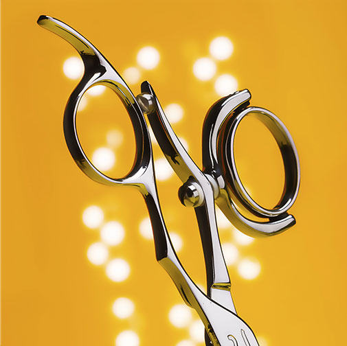 Hanzo Swivel Shears & Texturizers Swivel Series Shears