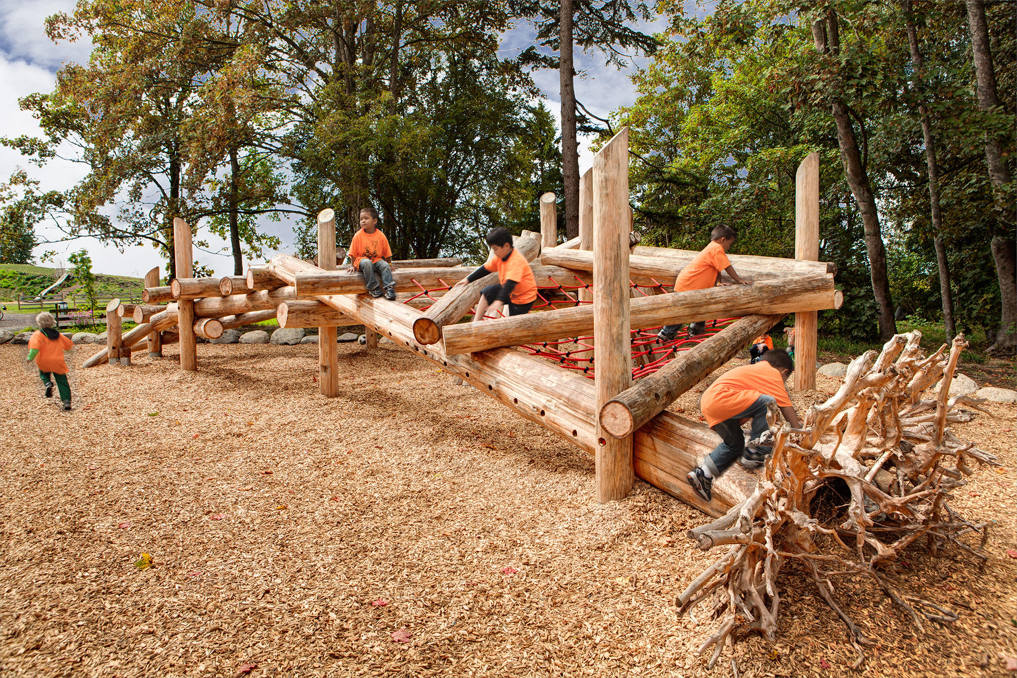 Terra Nova Adventure Play Environment Hapa Collaborative