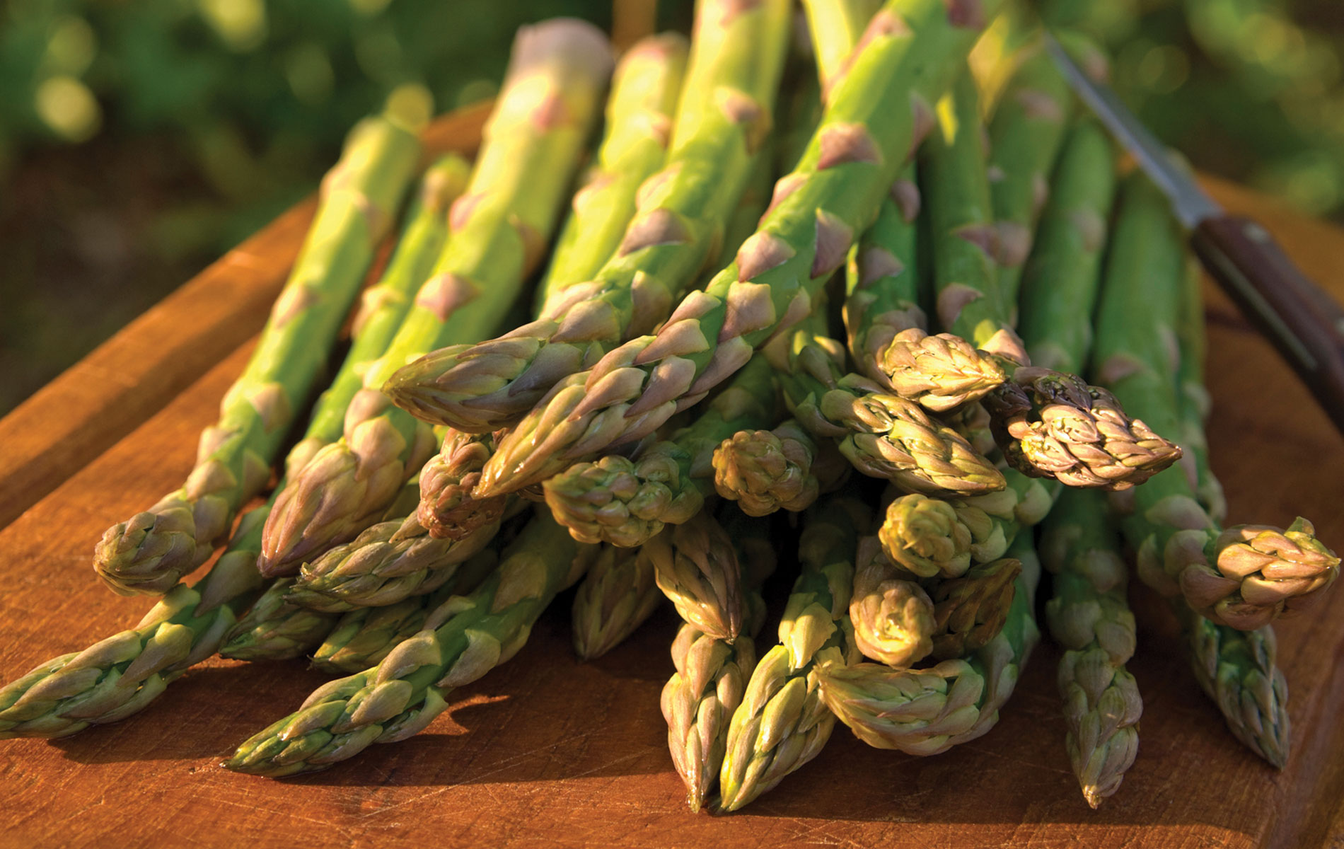 asparagus Hapco Farms