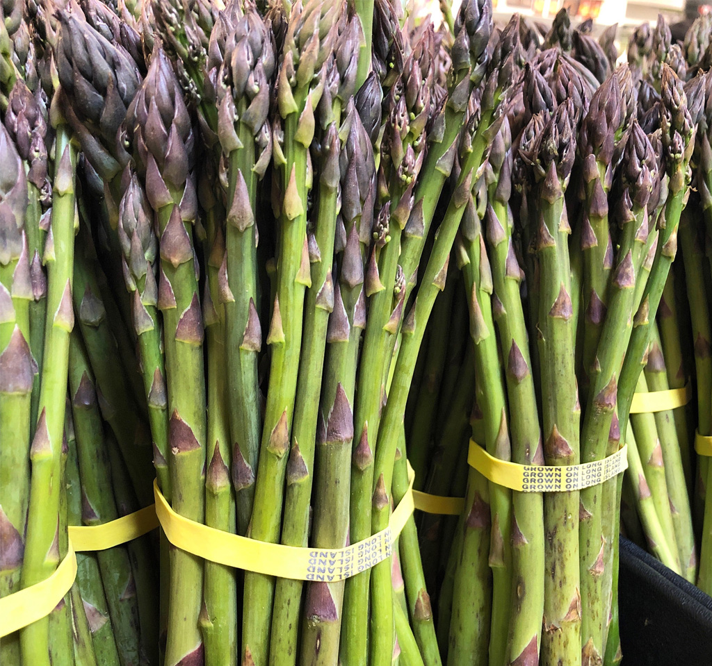 asparagus_pc3 Hapco Farms