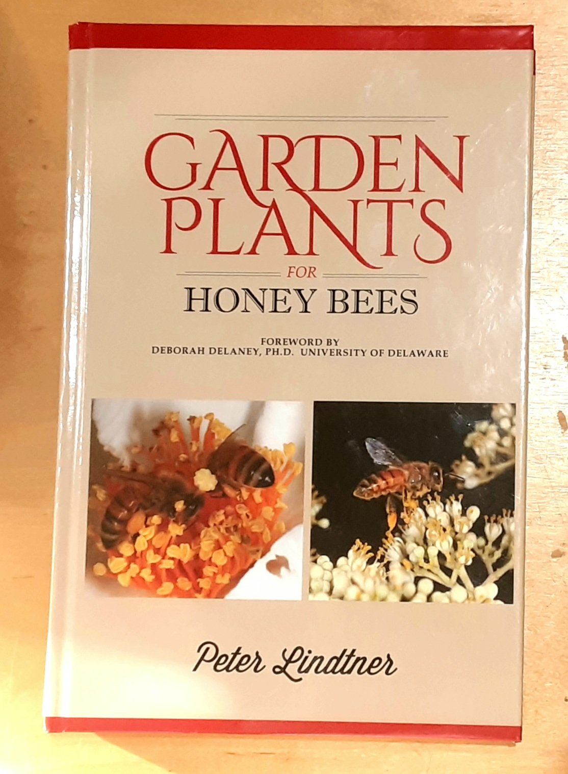 Garden Plants for Honey Bees HappBee Acres Bee Supply