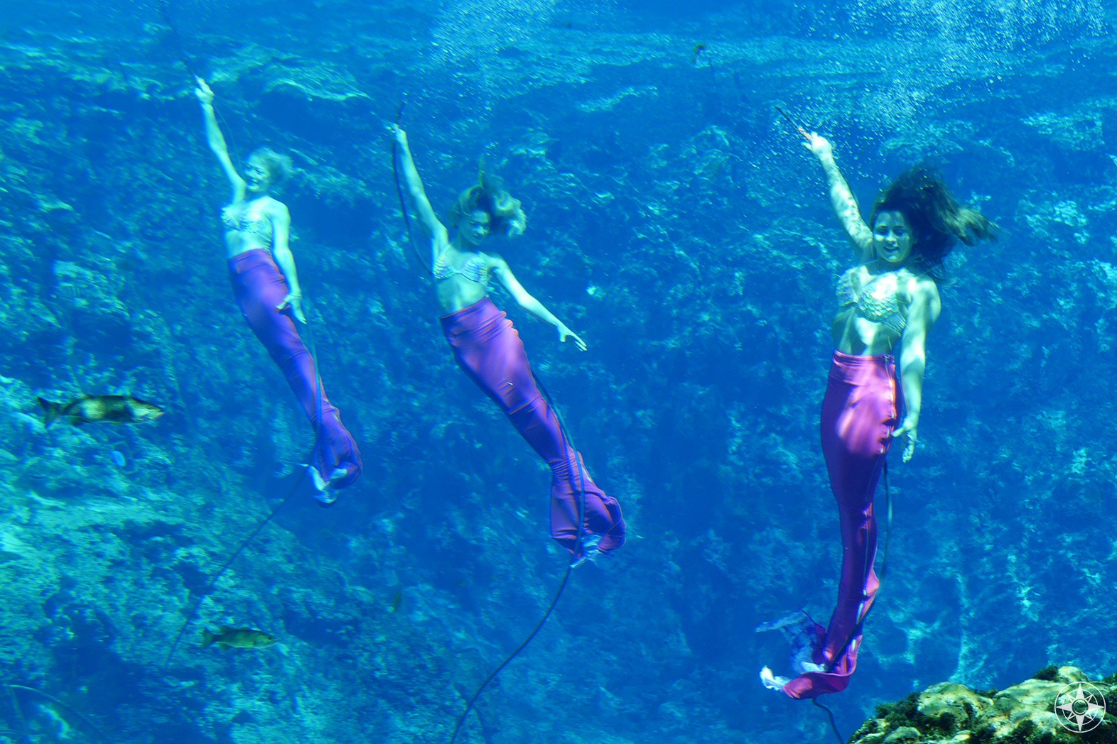 Meet Mermaids and Paddle A Crystal Clear River Weeki Wachee Springs