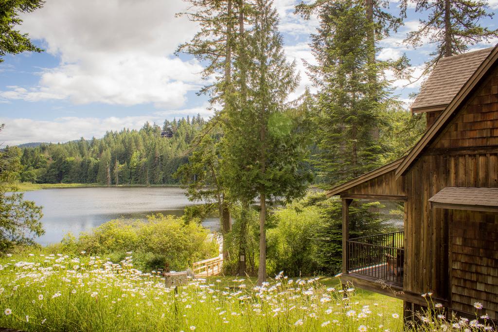 30 Cozy Cabins Near Vancouver for a Weekend Getaway Happiest Outdoors
