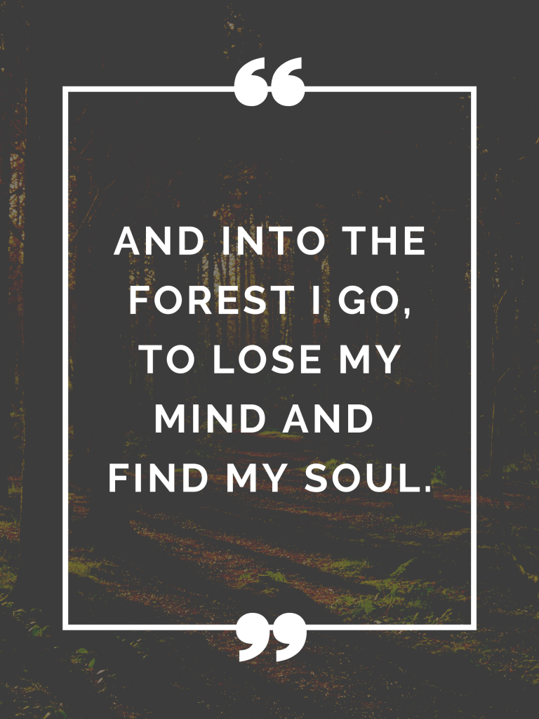 55 Beautiful Outdoor Quotes to Make You Want to Go Outside Happily