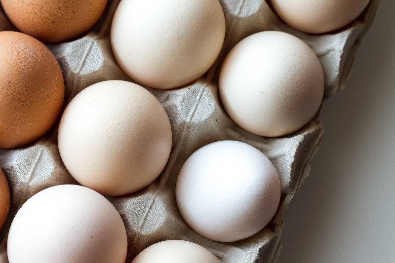 How to Clean and Store Backyard Chicken Eggs Happily Outside