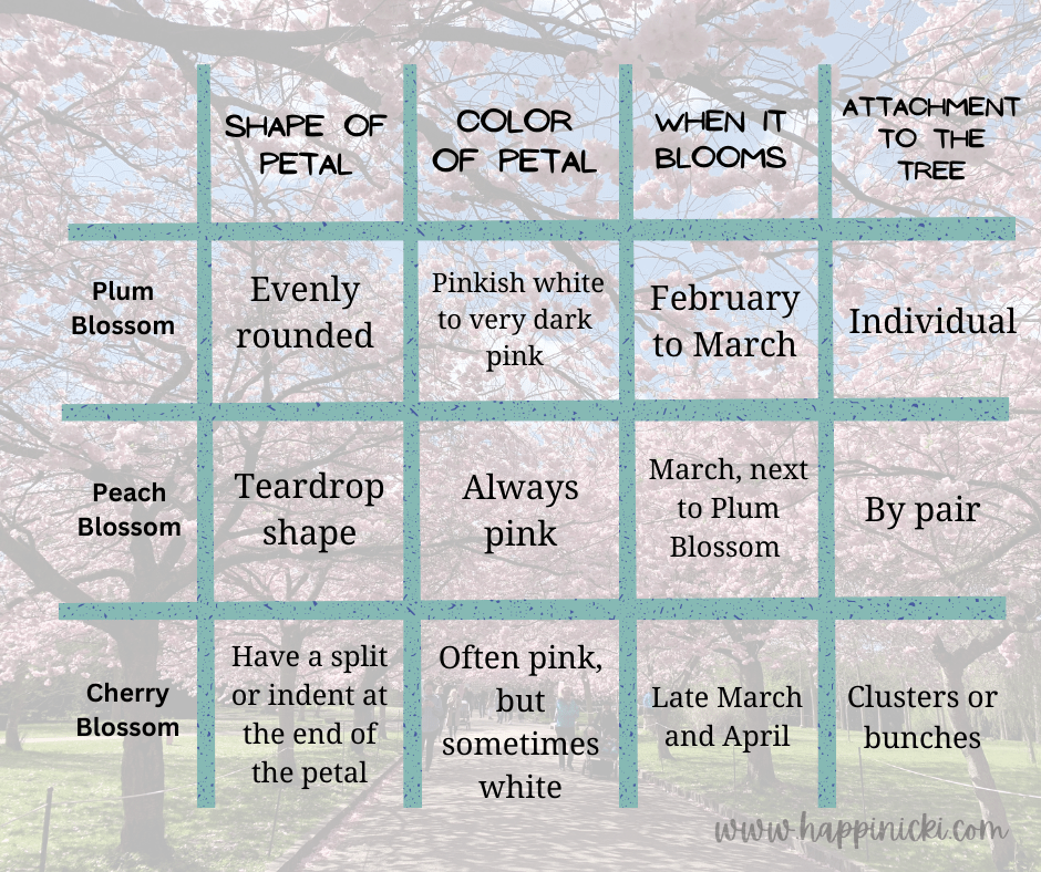 Cherry Blossom vs Peach Blossom vs Plum Blossom Know Their Differences