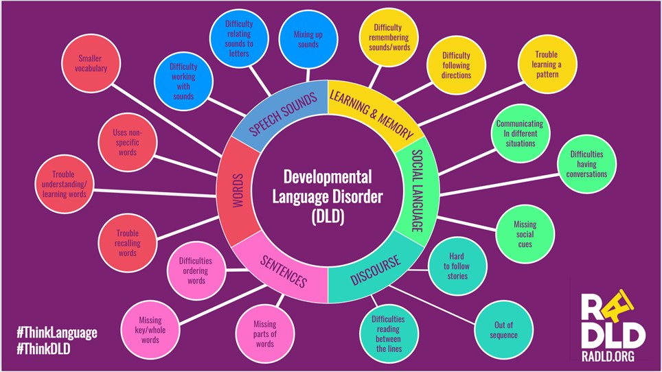 What is Developmental Language Disorder? Happy Talk Ltd