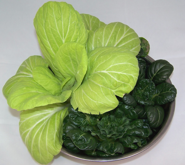 Best of Transplanting happy rich asian greens Is kim kardashian bisexual