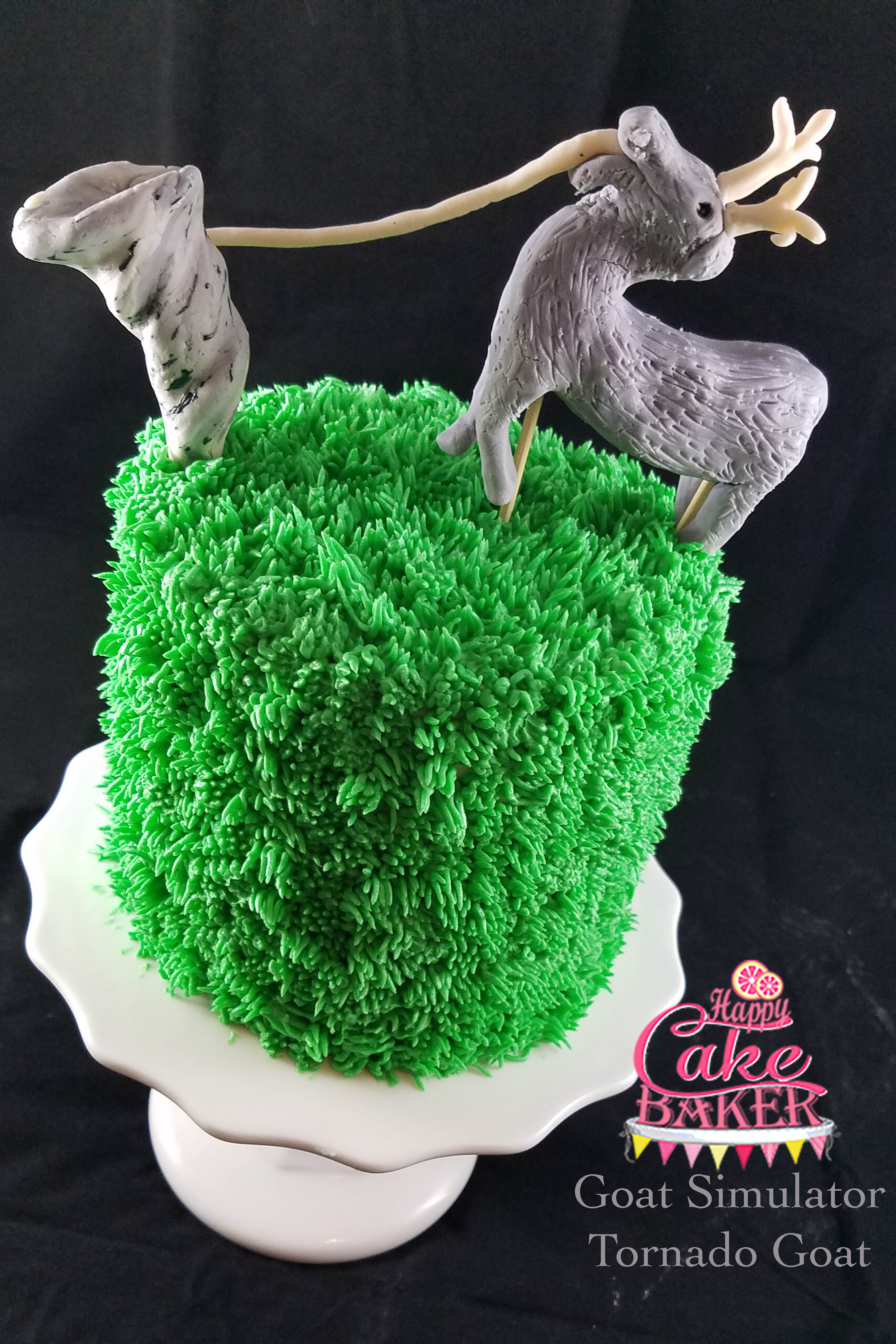 Happy Cake Baker Creating memories one cake at a time!