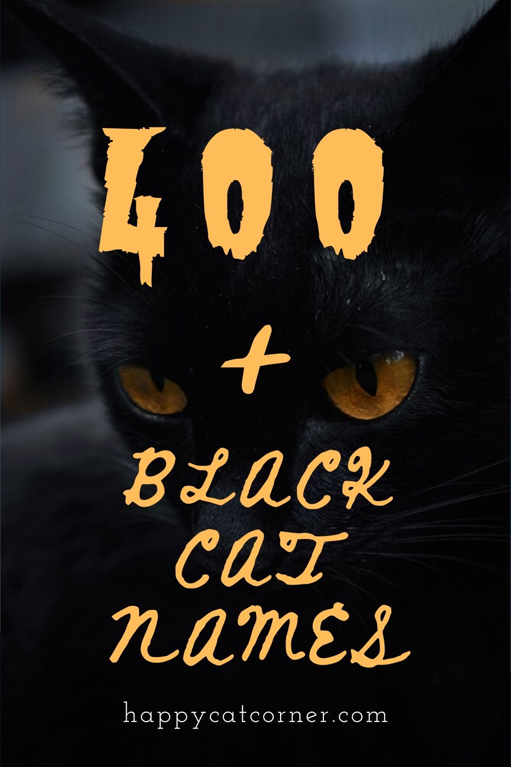 400+ Unique Names for a Black Cat Happy Cat Corner