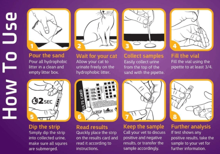 Pretty Litter Alternatives Do They Exist?