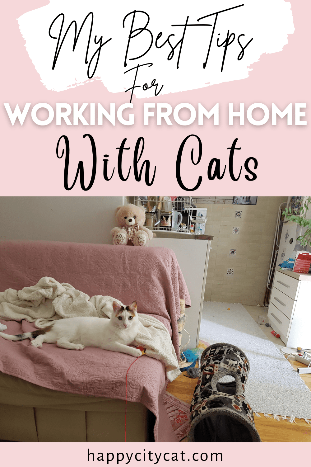 My Best Tips For Working From Home With Cats