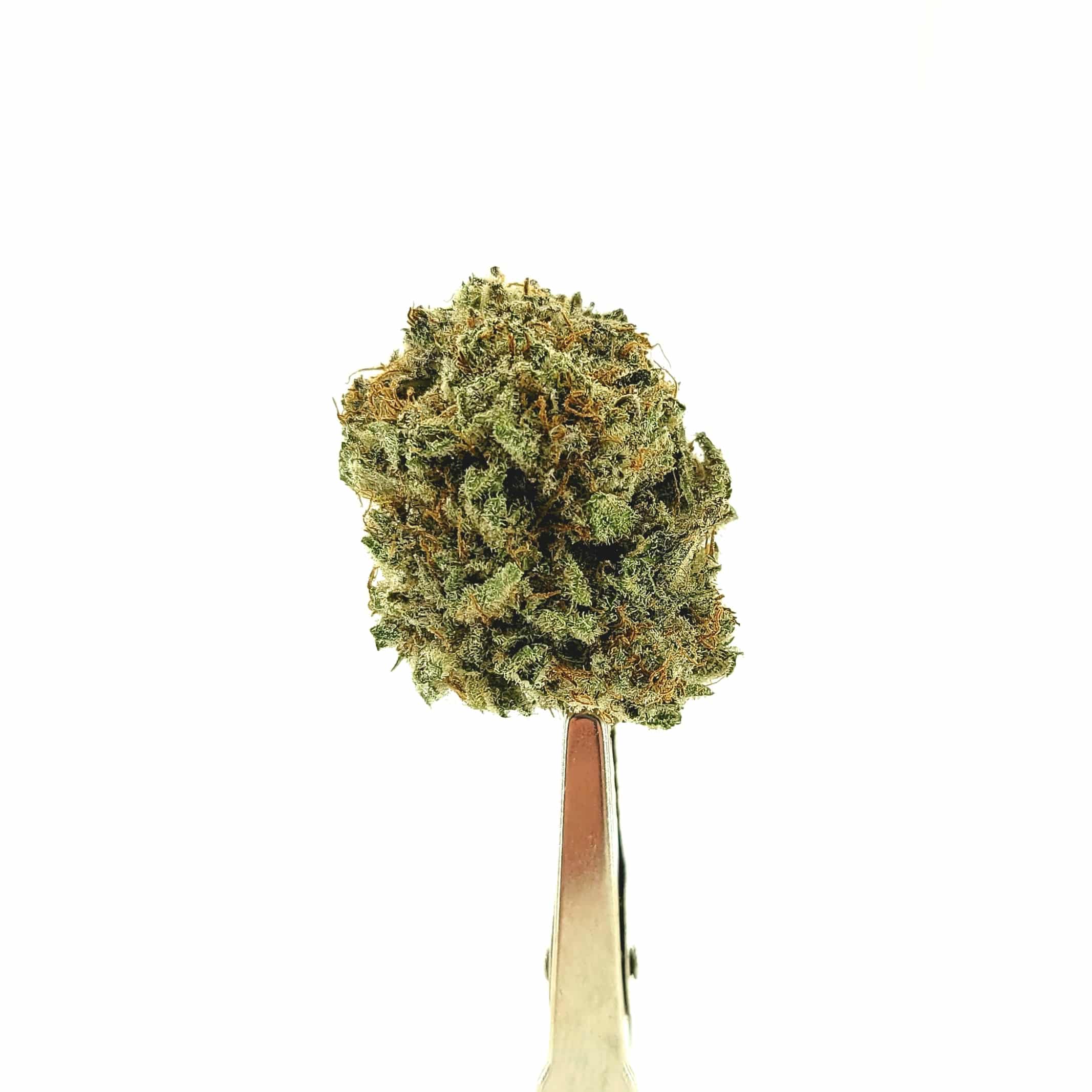 Chocolate Kush (Oz Special) Cannabis Dispensary