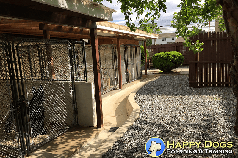 TopRated Laurel Springs, Gloucester & Blackwood, NJ Dog Boarding