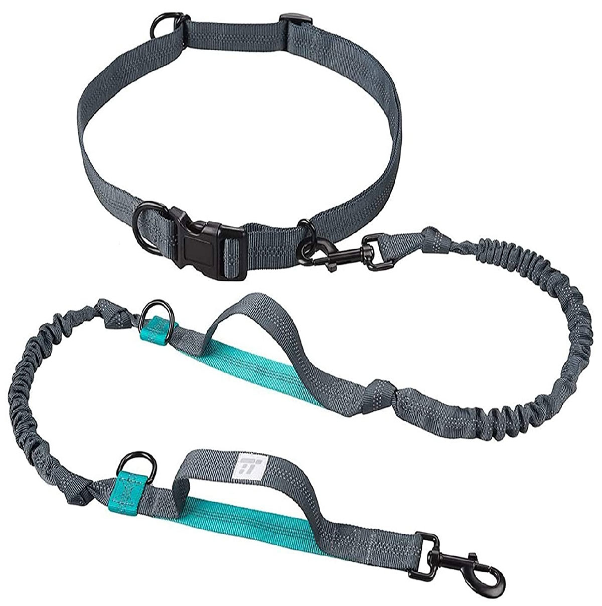 dog running accessories