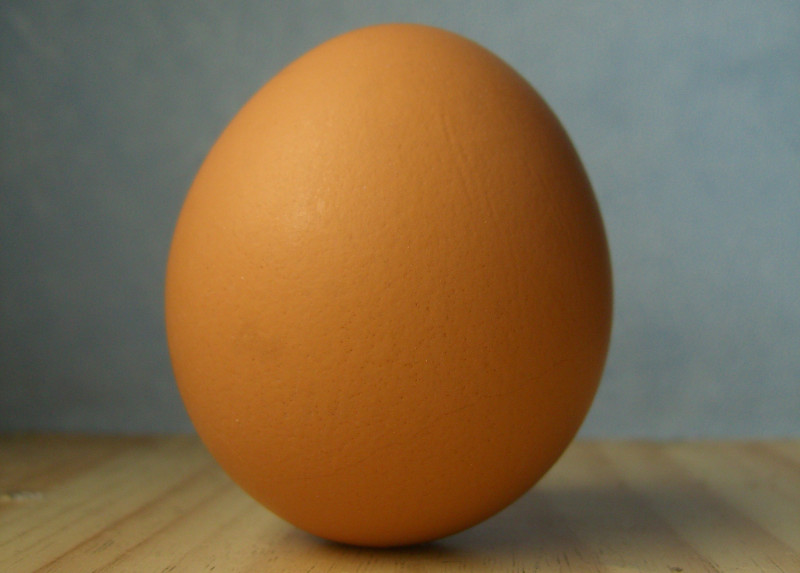 Egg · yolk · raw · frozen · pasteurized 299 calories Happy Forks