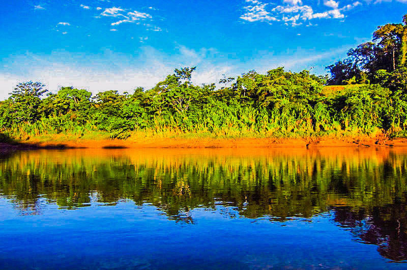 Refugio Amazonas Tour (4 Day) Posada Amazonas Happy Gringo Tours