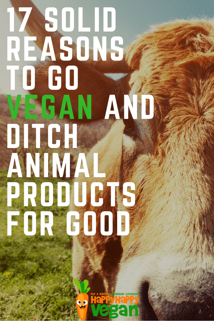 17 Solid Reasons To Go Vegan And Ditch Animal Products For Good