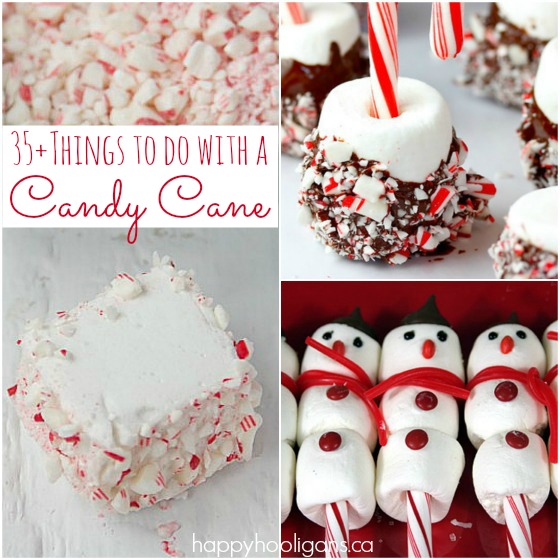 35+ Creative Ways to Use Leftover Candy Canes Happy Hooligans