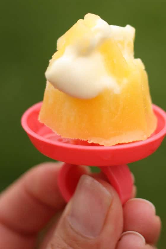 Easy, Healthy, 2Ingredient Homemade Creamsicles Happy Hooligans