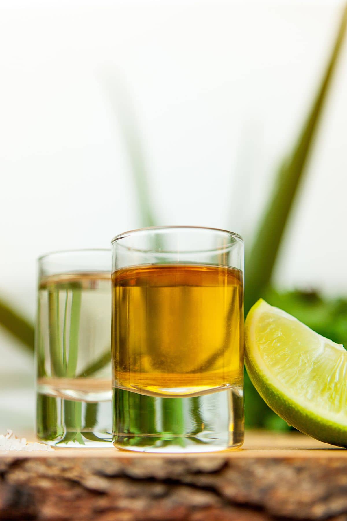 Best Chasers for Tequila