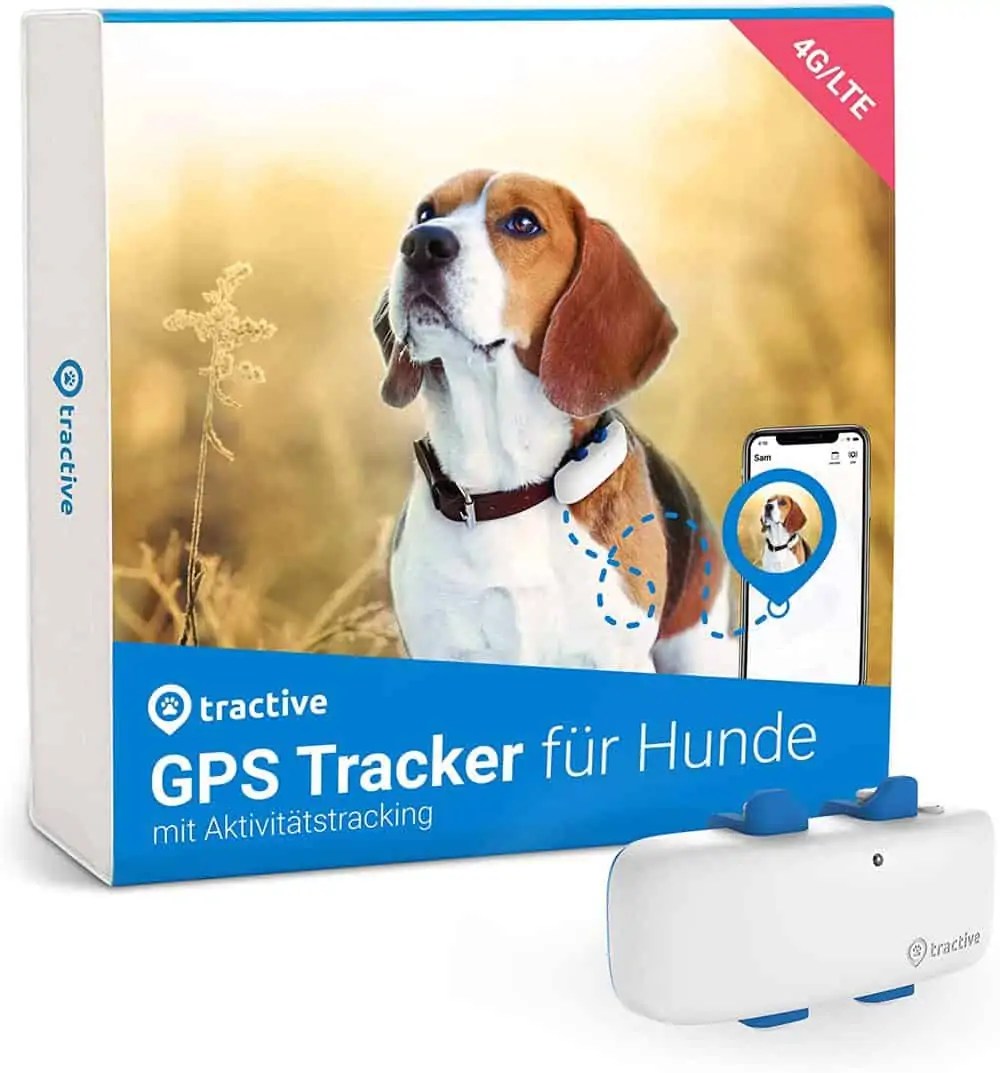 Die 5 besten Hunde GPS Tracker ohne Abo im Test (2024)