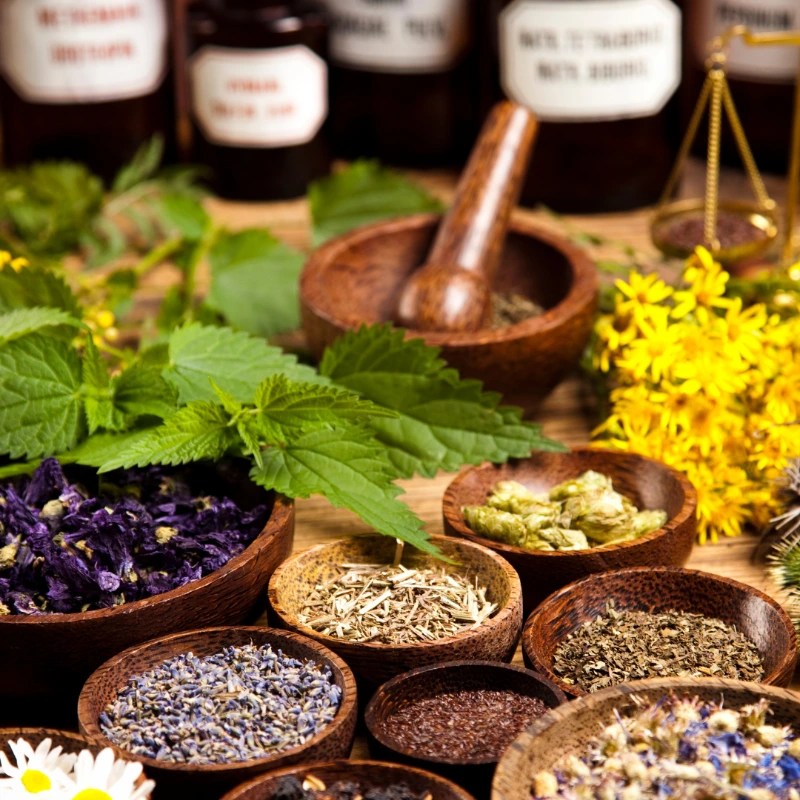 Types of Herbs and Their Uses Happy Life Pharmaceuticals