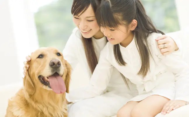 ペットに話しかけているうちに、心のつかえは取れてくる。 犬との愛情を育む30の育て方 HAPPY LIFESTYLE