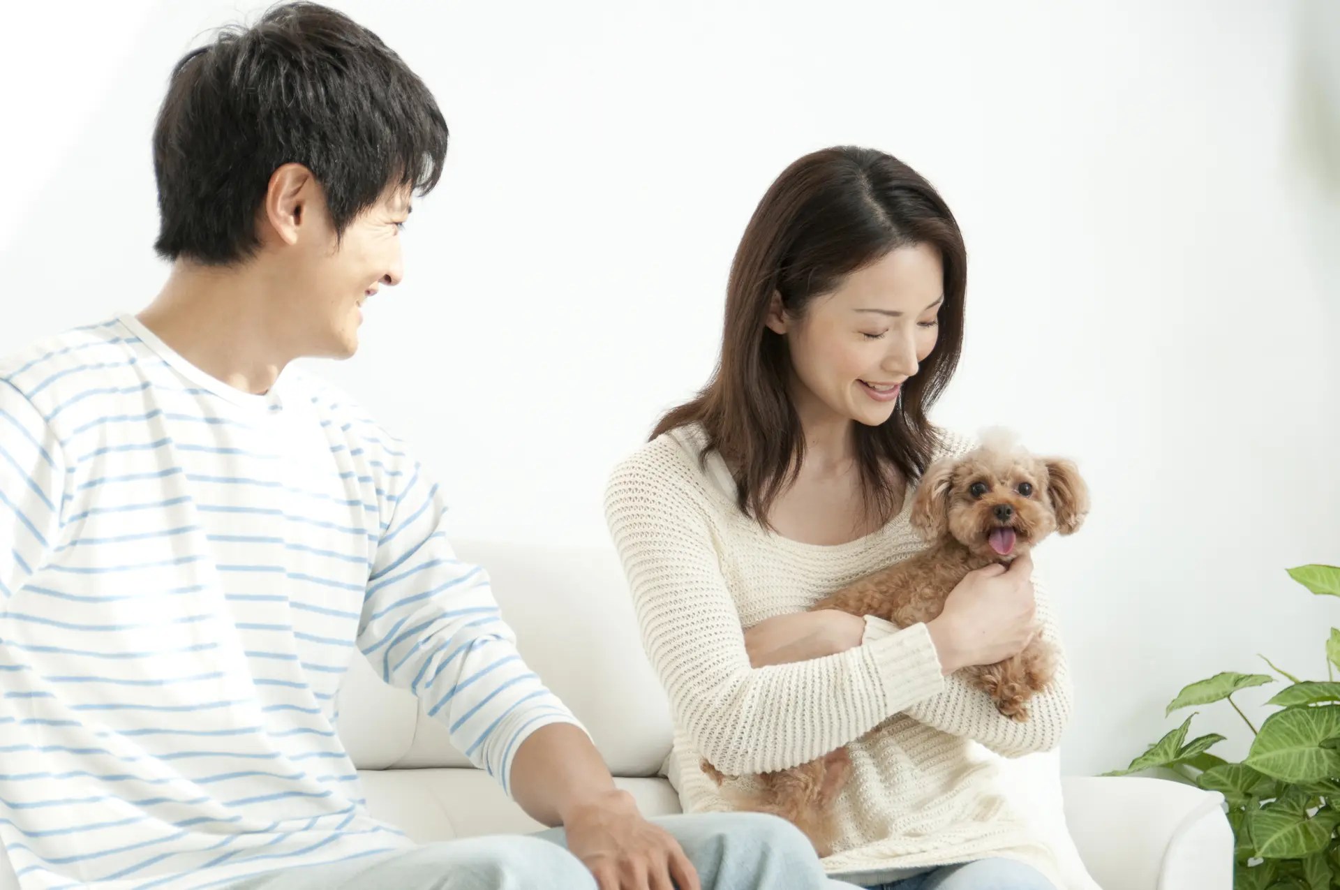 ペットがいるだけで、生活の華やかさはずいぶん変わる。 ペットから尊敬される飼い主になる30の方法 HAPPY LIFESTYLE