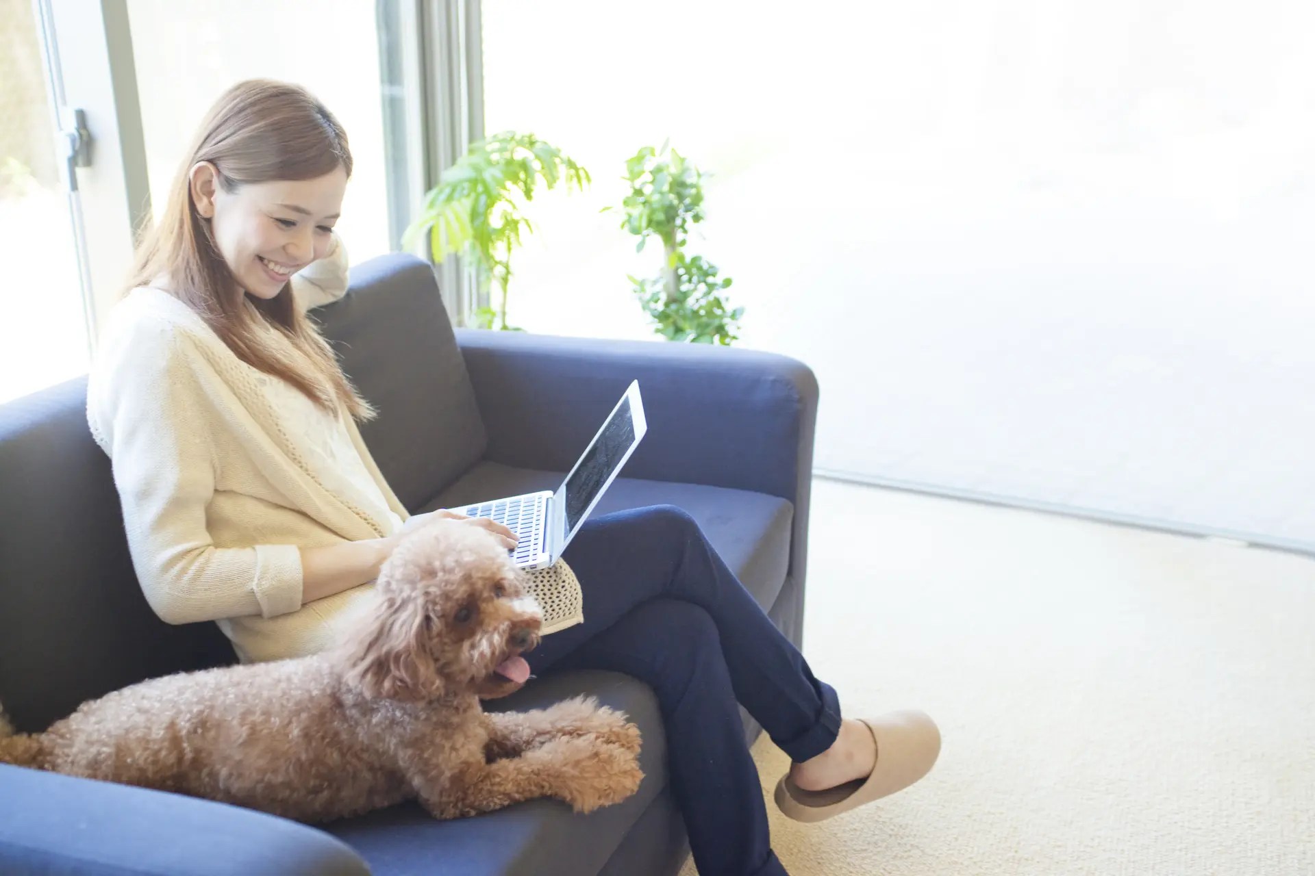 未成年者がペットを飼うというのは、すごいこと。 ペットから尊敬される飼い主になる30の方法 HAPPY LIFESTYLE